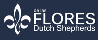 de las Flores Dutch Shepherd Puppies