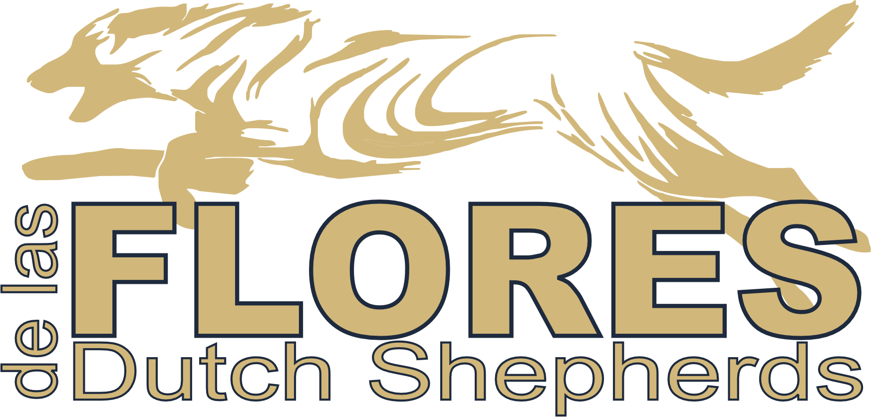 de las Flores Dutch Shepherds